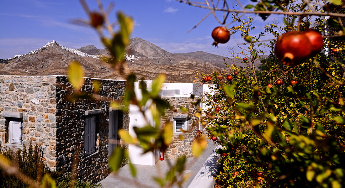 Hotel Rizes at Serifos